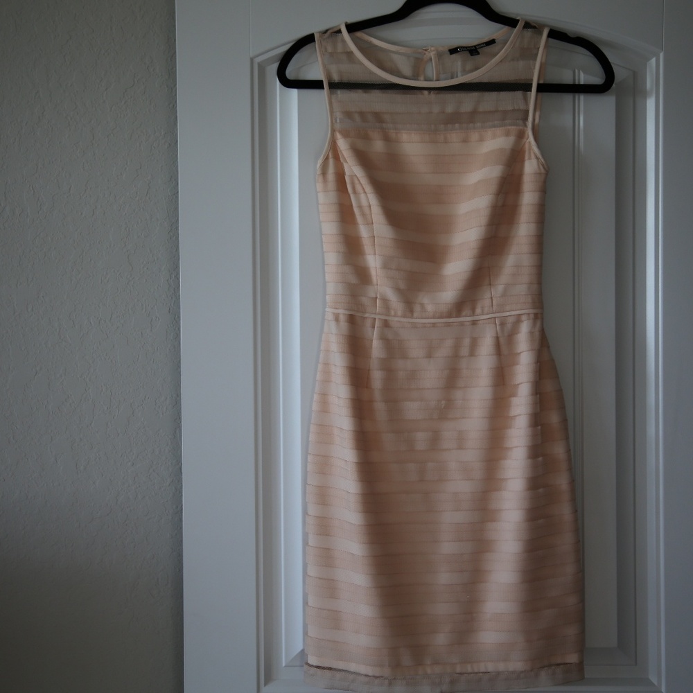 Gianni Bini dress